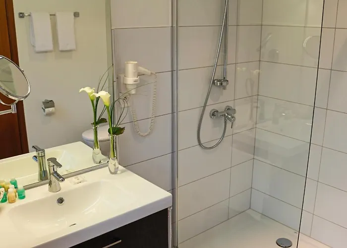 卡迪纳尔酒店 酒店 3*