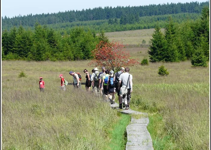 卡迪纳尔酒店 酒店 斯帕
